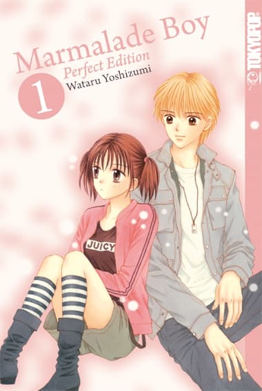 Cover Art for MARMALADE BOY PERFECT EDITION