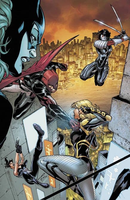 Cover Art for BIRDS OF PREY ( 2011-2014 )