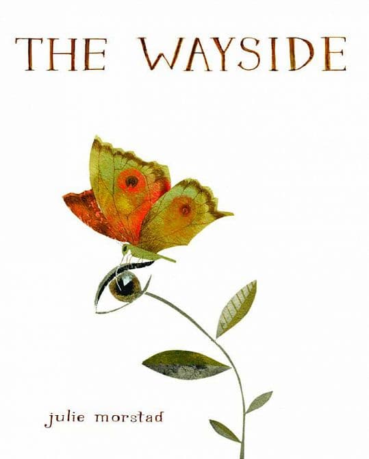 Cover Art for WAYSIDE HC