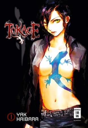 Cover Art for TOKAGE