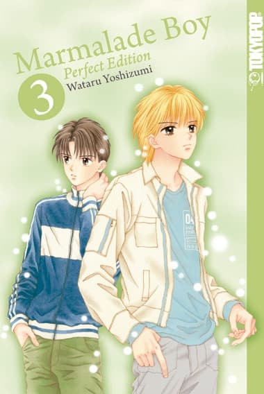 Cover Art for MARMALADE BOY PERFECT EDITION