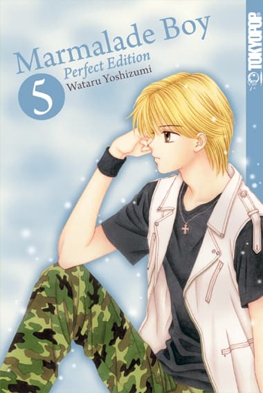 MARMALADE BOY PERFECT EDITION