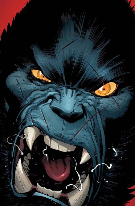 Cover Art for AMAZING X-MEN ( 2013-2015 )