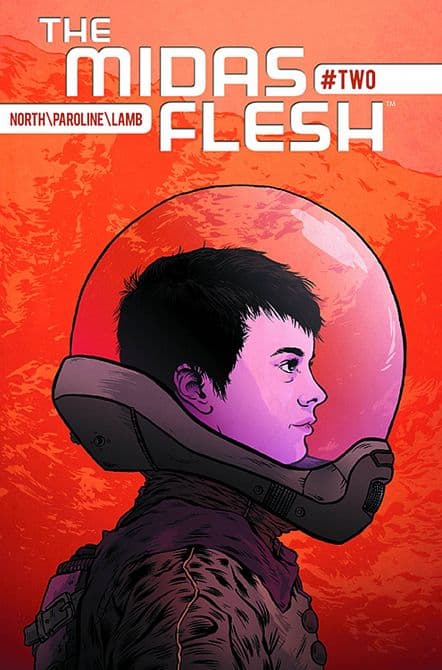 Cover Art for MIDAS FLESH
