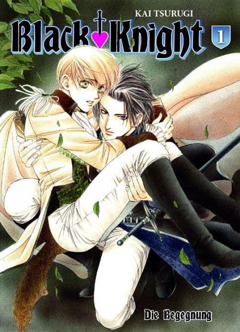Cover Art for BLACK KNIGHT ( ab 2014 )