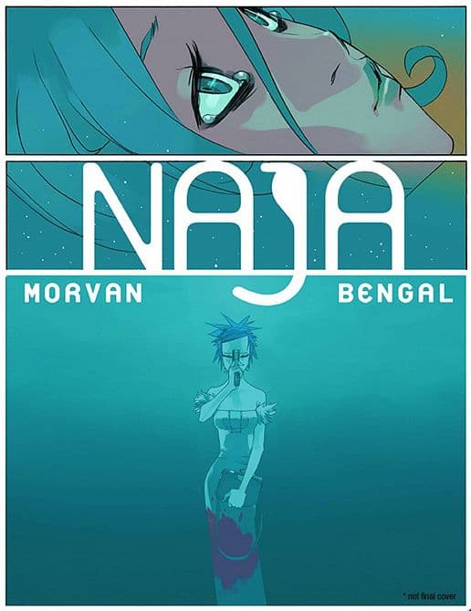 Cover Art for NAJA HC