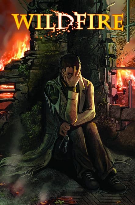 Cover Art for WILDFIRE