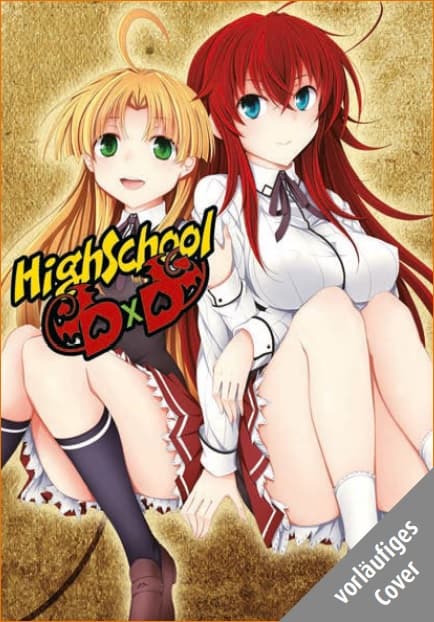 Cover Art for HIGHSCHOOL DXD