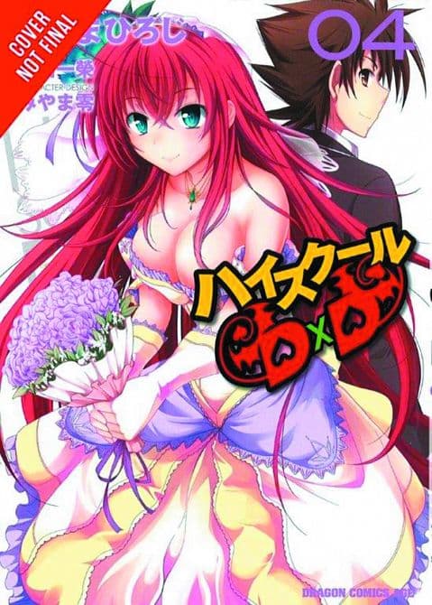 Cover Art for HIGH SCHOOL DXD GN VOL 04