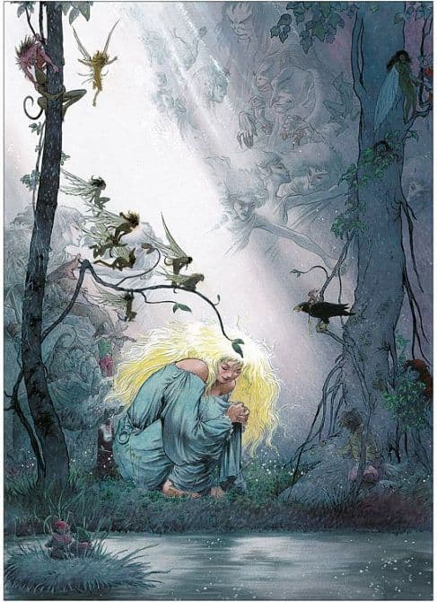 Cover Art for STARDUST-DER STERNWANDERER ( HARDCOVER )