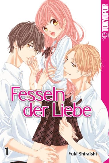 Cover Art for FESSELN DER LIEBE