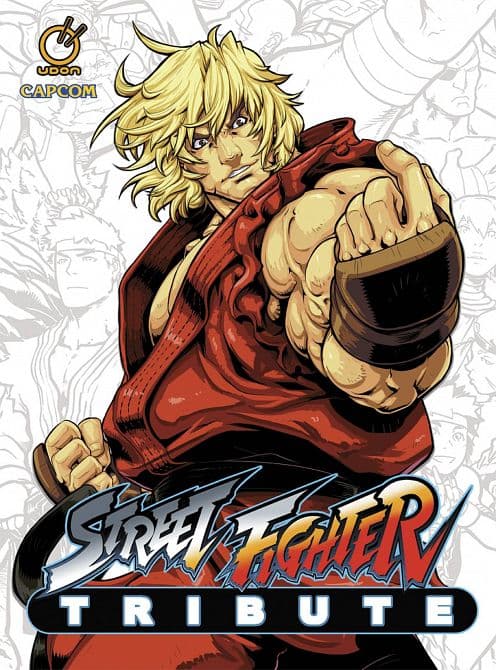 Cover Art for STREET FIGHTER TRIBUTE HC