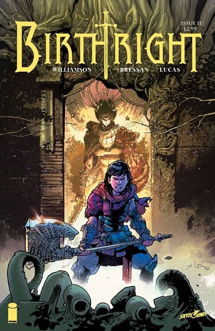 Cover Art for BIRTHRIGHT