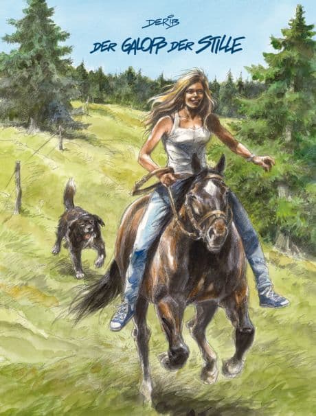 Cover Art for DER GALOPP DER STILLE