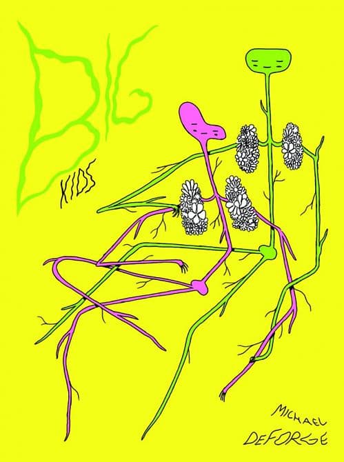 BIG KIDS HC