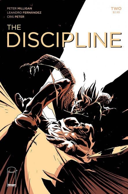 Cover Art for DISCIPLINE