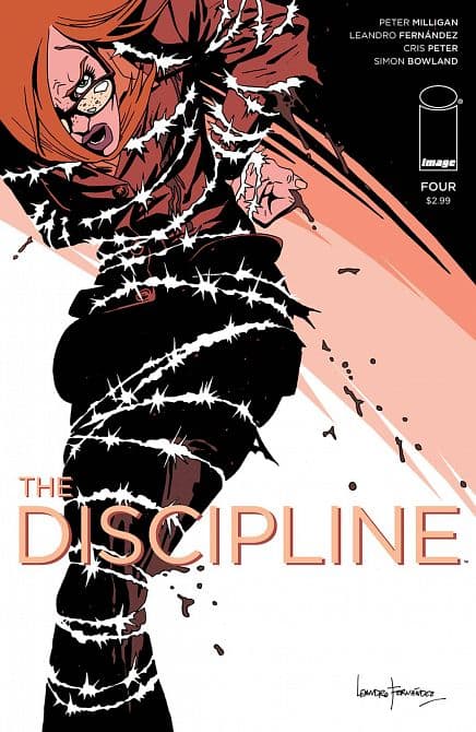 Cover Art for DISCIPLINE