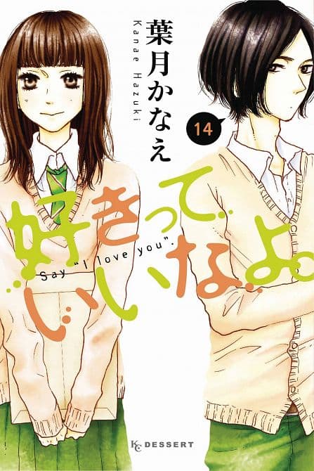 Cover Art for SAY I LOVE YOU GN VOL 14