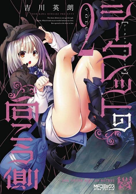 Cover Art for OTHER SIDE OF SECRET GN VOL 02