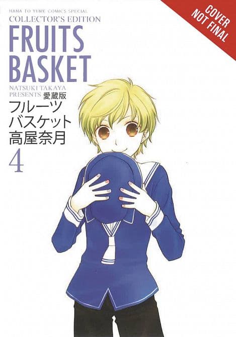 Cover Art for FRUITS BASKET COLLECTORS ED TP VOL 04