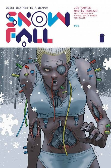 Cover Art for SNOWFALL