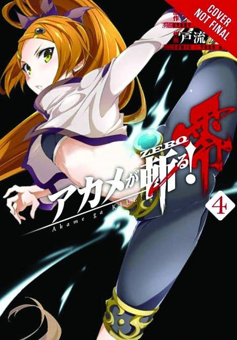 AKAME GA KILL ZERO GN VOL 04