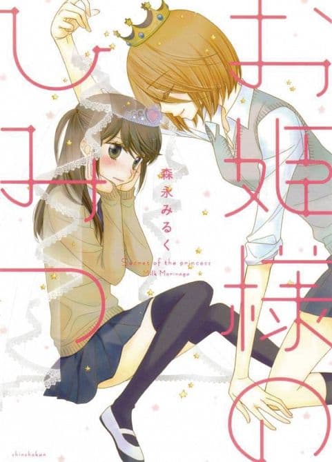 Cover Art for SECRET OF THE PRINCESS GN