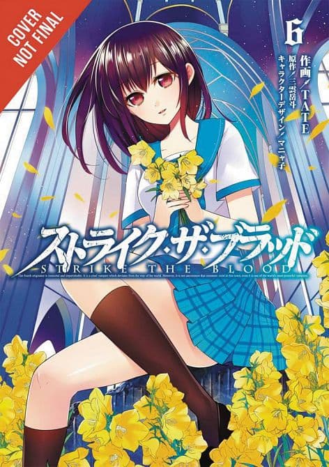 Cover Art for STRIKE THE BLOOD GN VOL 06
