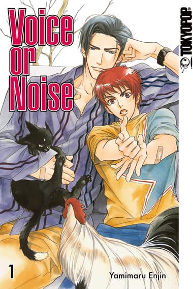 Cover Art for VOICE OR NOISE