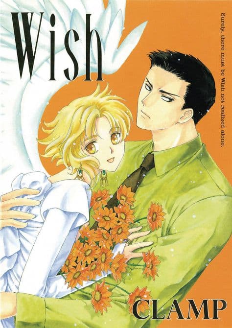 Cover Art for WISH TP