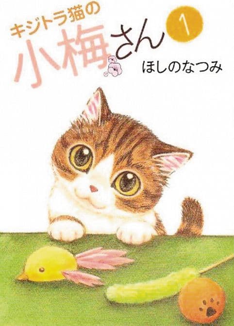 Cover Art for PLUM CRAZY TALES OF TIGER STRIPED CAT GN VOL 01