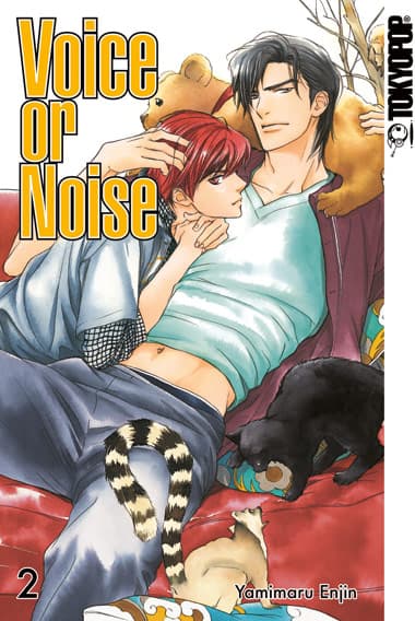 Cover Art for VOICE OR NOISE