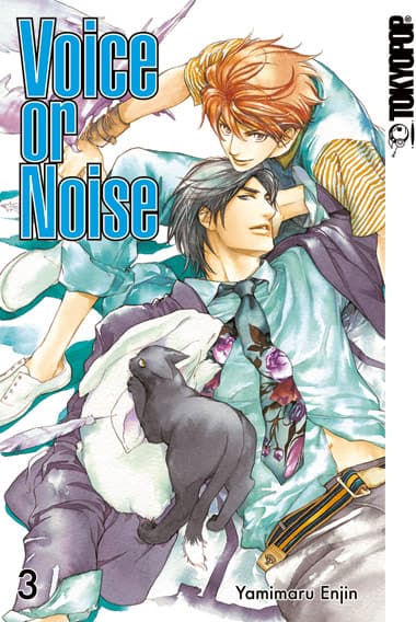 Cover Art for VOICE OR NOISE