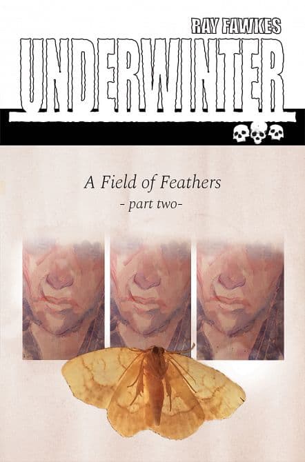 Cover Art for UNDERWINTER FIELD OF FEATHERS