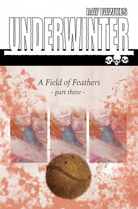 UNDERWINTER FIELD OF FEATHERS