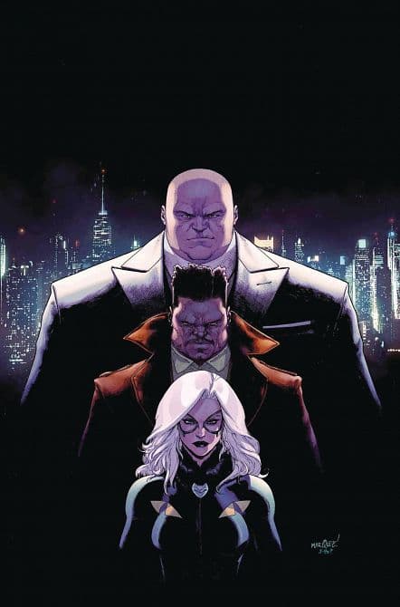 DEFENDERS ( 2017-2020 )