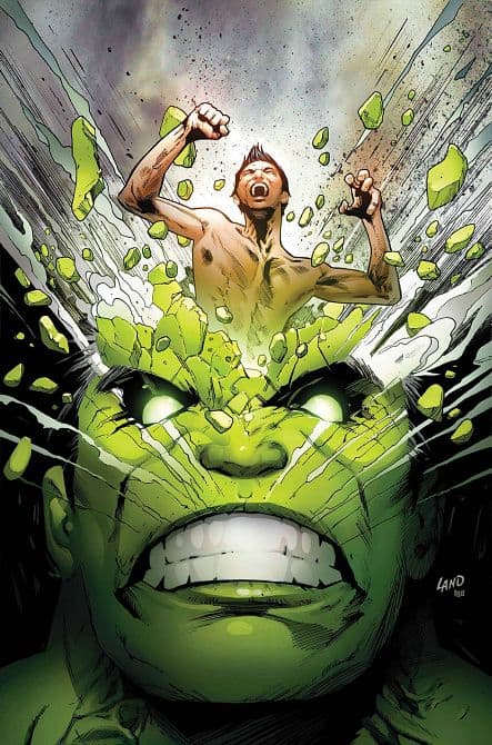 Cover Art für INCREDIBLE HULK ( 2017-2018 )