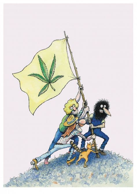 FIFTY FREAKIN YEARS OF FREAK BROTHERS TP