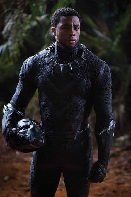 Cover Art for RISE OF BLACK PANTHER