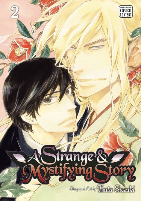 STRANGE & MYSTIFYING STORY GN VOL 02