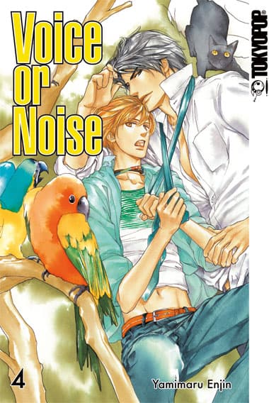 Cover Art for VOICE OR NOISE