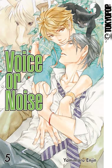 Cover Art for VOICE OR NOISE