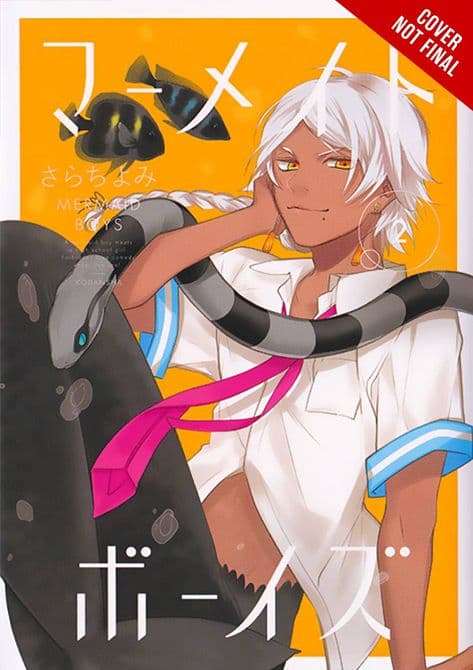 Cover Art for MERMAID BOYS GN VOL 02