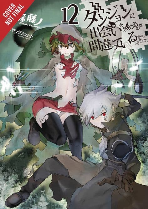 Cover Art for IS WRONG PICK UP GIRLS DUNGEON NOVEL SC VOL 12