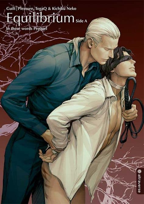 Cover Art for EQUILIBRIUM Light Novel