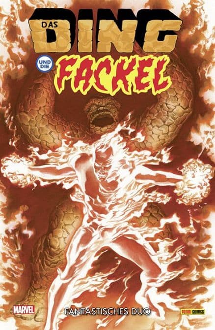 Cover Art for DAS DING UND DIE FACKEL