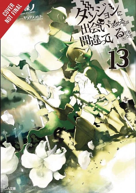 Cover Art for IS WRONG PICK UP GIRLS DUNGEON NOVEL SC VOL 13