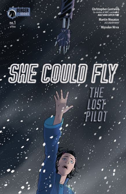 Cover Art for SHE COULD FLY LOST PILOT