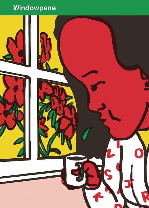 Cover Art for WINDOWPANE GN