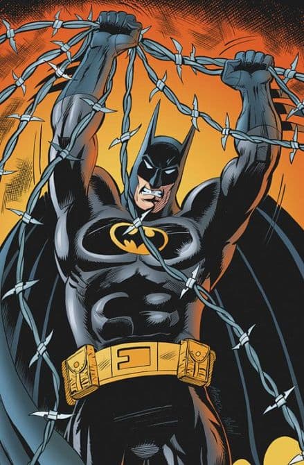 Cover Art für BATMAN: NIEMANDSLAND ( SC )